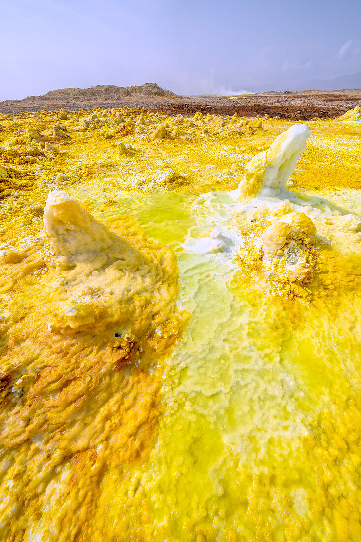Yellow acid sulphur sediments in the thermal area of Dallol, Danakil Depression, Afar Region, Ethiopia, Africa