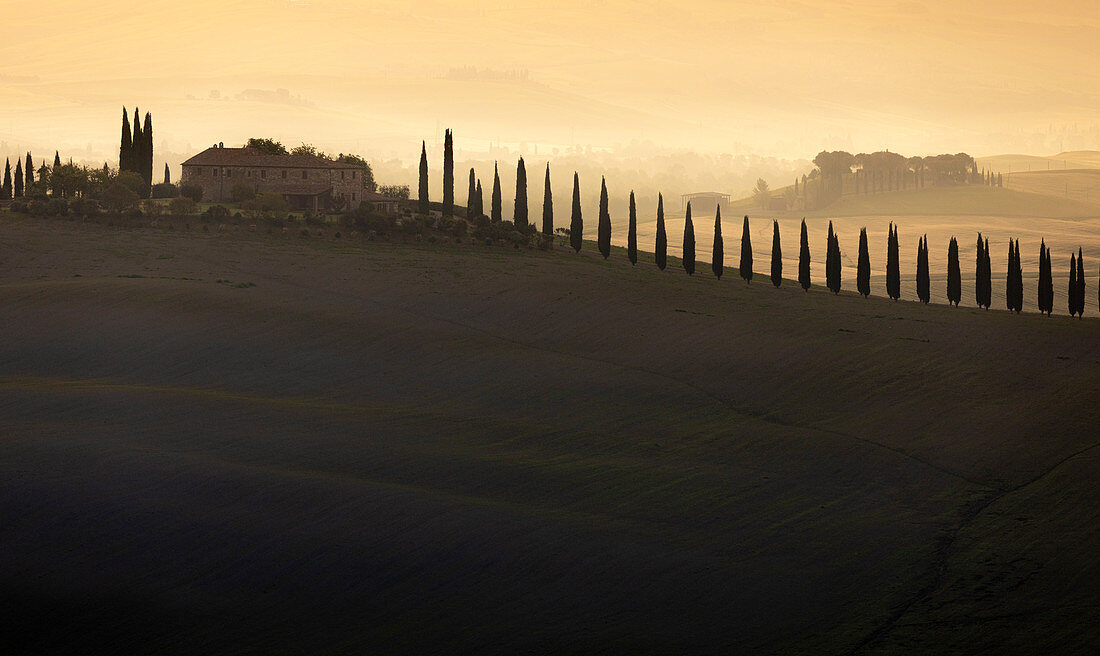 Am frühen Morgen zwischen den Hügeln des Val d'Orcia. Pienza, Val d'Orcia, Provinz Siena, Toskana, Italien.