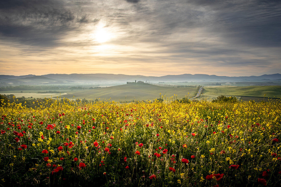 Early morning between Val d'Orcia Hills. Pienza, Val d'Orcia, Siena Province, Tuscany, Italy.