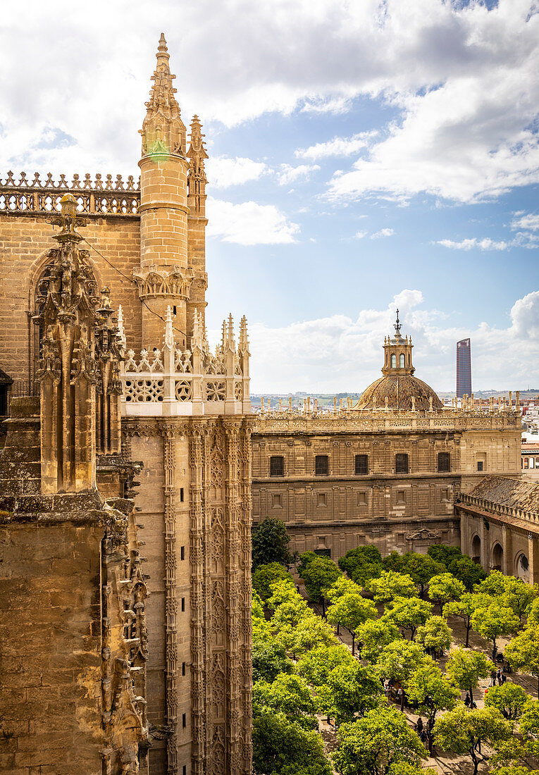 Vom Giralda-Turm aus haben Sie einen hohen Blick auf den Patio de los Naranjos der Kathedrale von Sevilla. Kathedrale von Sevilla, Sevilla, Andalusien, Spanien