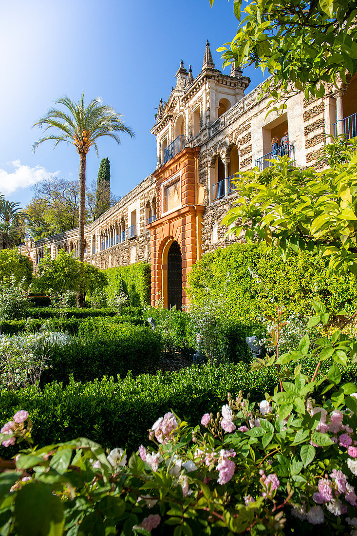 Echte Alcazar-Gärten. Sevilla, Andalusien, Spanien