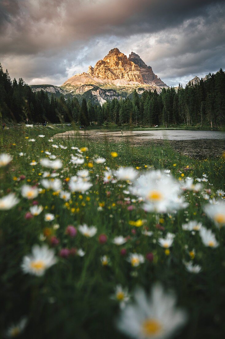 Tre cime di Lavaredo and Antorno Lake, Belluno province, Veneto, Italy.