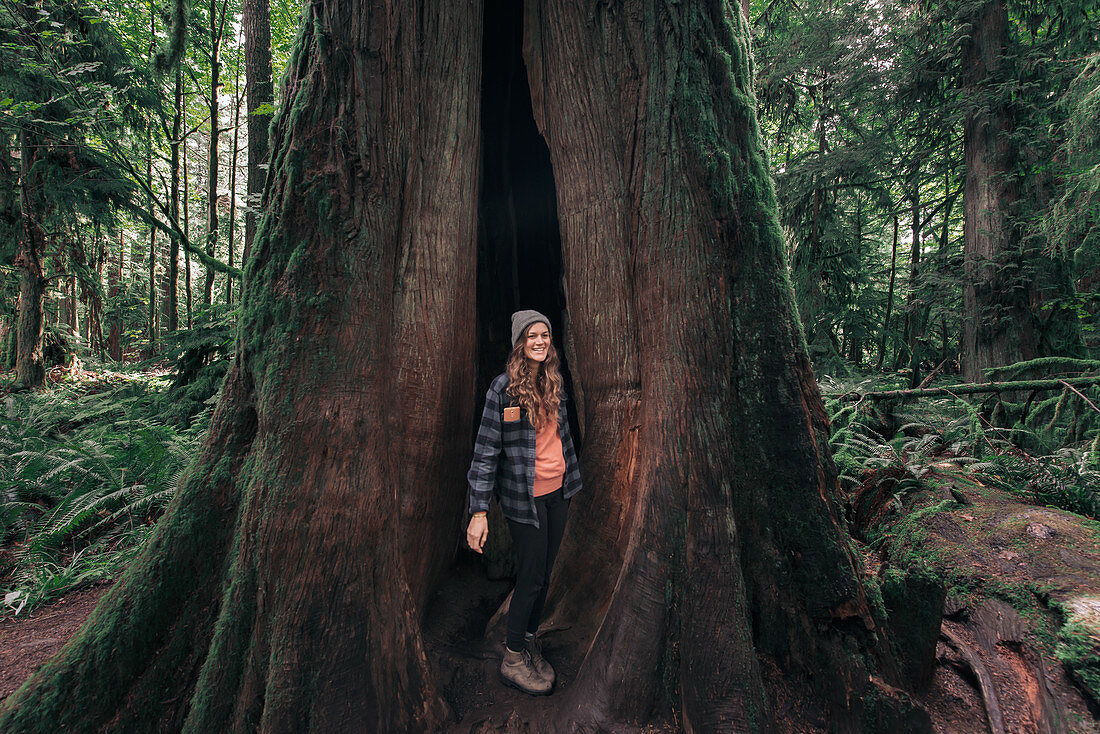 Frau steht in Baumhöhle im Wald, Cathedral Grove, British Columbia, Kanada