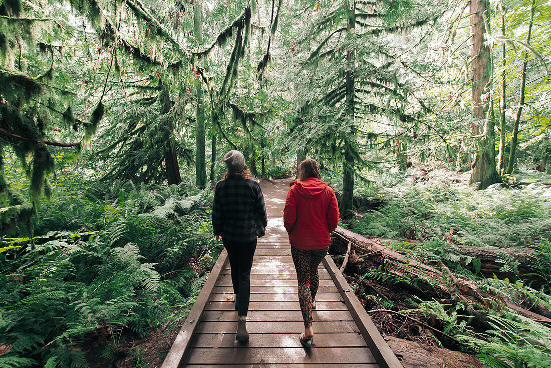 Freunde beim Spaziergang im Wald, Cathedral Grove, British Columbia, Kanada