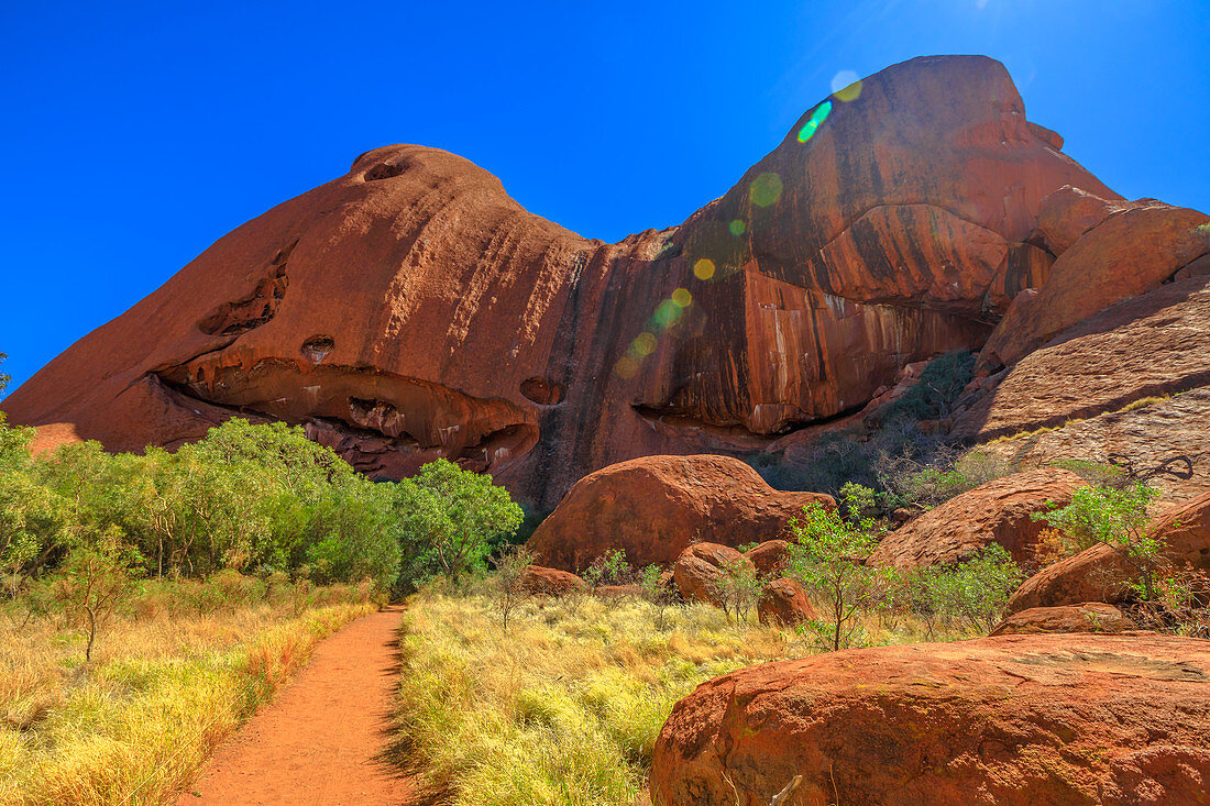 Roter Sandweg und Buschvegetation in der Wintersaison an der Südwand des Ayers Rock entlang des Uluru Base Walk, Uluru-Kata Tjuta-Nationalpark, UNESCO-Weltkulturerbe, Northern Territory, Australien, Pazifik