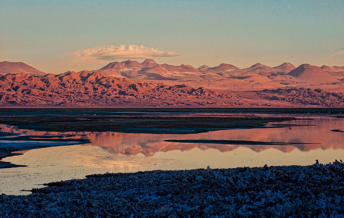 Salar de Atacama, Chile, Südamerika