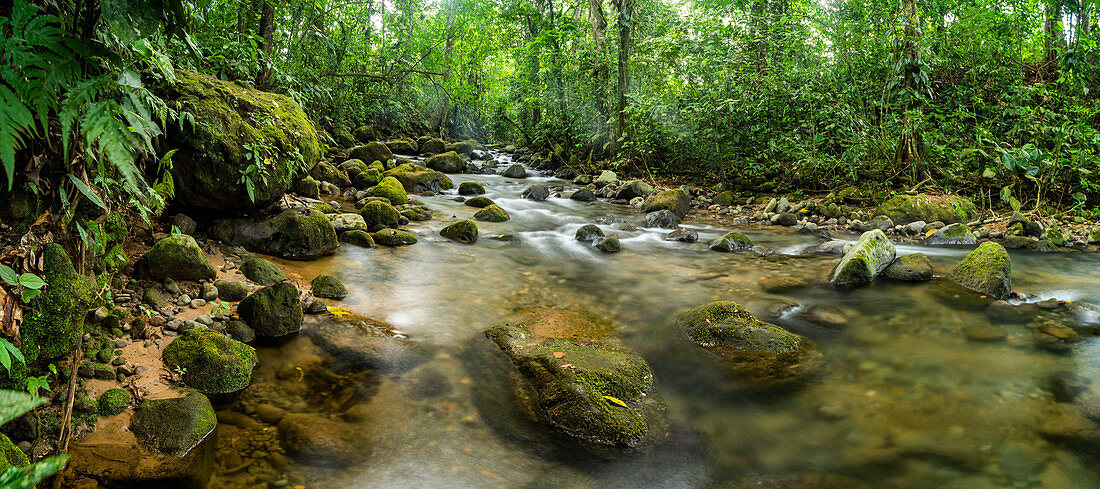 Burio Fluss (Rio Burio), La Fortuna, Arenal, Provinz Alajuela, Costa Rica, Mittelamerika