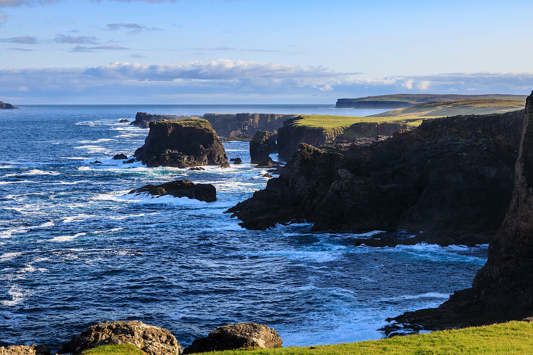 Eshaness, jagged cliffs, stacks, geos and blow holes, Northmavine, Mainland, Shetland Isles, Scotland, United Kingdom, Europe