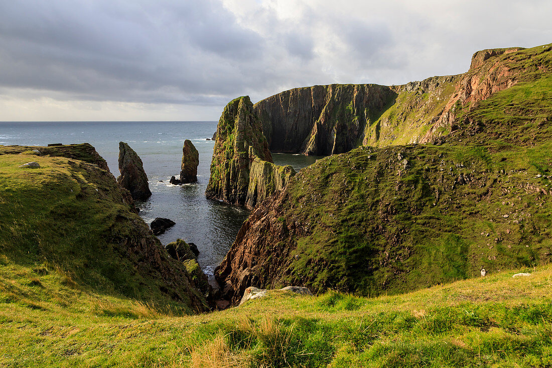 Westerwick, dramatische Küstenansichten, Klippen und Stapel des roten Granitmeeres, West Mainland, Shetlandinseln, Schottland, Vereinigtes Königreich, Europa