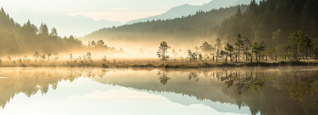 Panorama der Bäume gespiegelt im Naturschutzgebiet Pian di Gembro während eines nebligen Sonnenaufgangs, Aprica, Valtellina, Lombardei, Italien, Europa