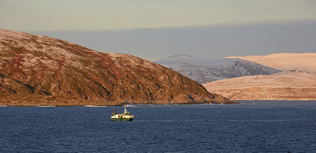 Fishing boat in Rolvsöysundet, Rolvsöya Island, Finnmark Province, Vest-Finnmark, Norway, Europe