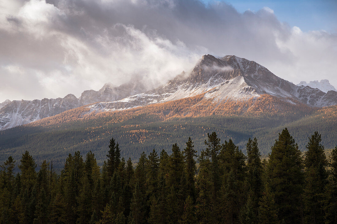 Mountain range at Morant's Curve in autumn foliage, Banff National Park, UNESCO World Heritage Site, Alberta, Rocky Mountains, Canada, North America