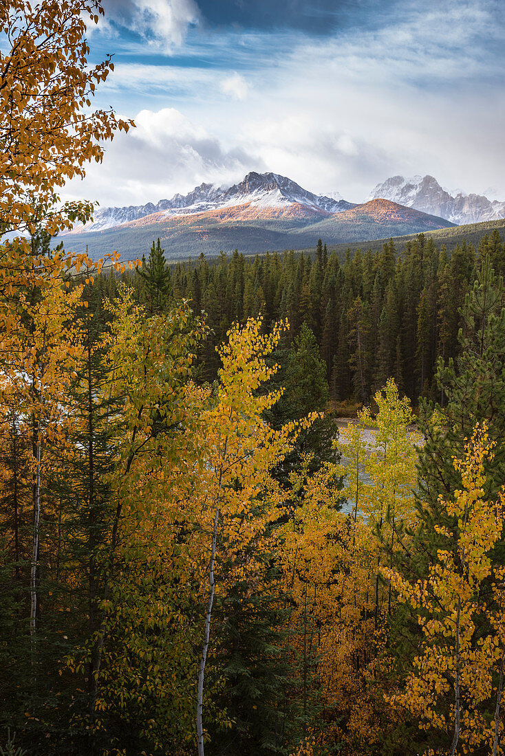 Mountain range at Morant's Curve in autumn foliage, Banff National Park, UNESCO World Heritage Site, Alberta, Rocky Mountains, Canada, North America