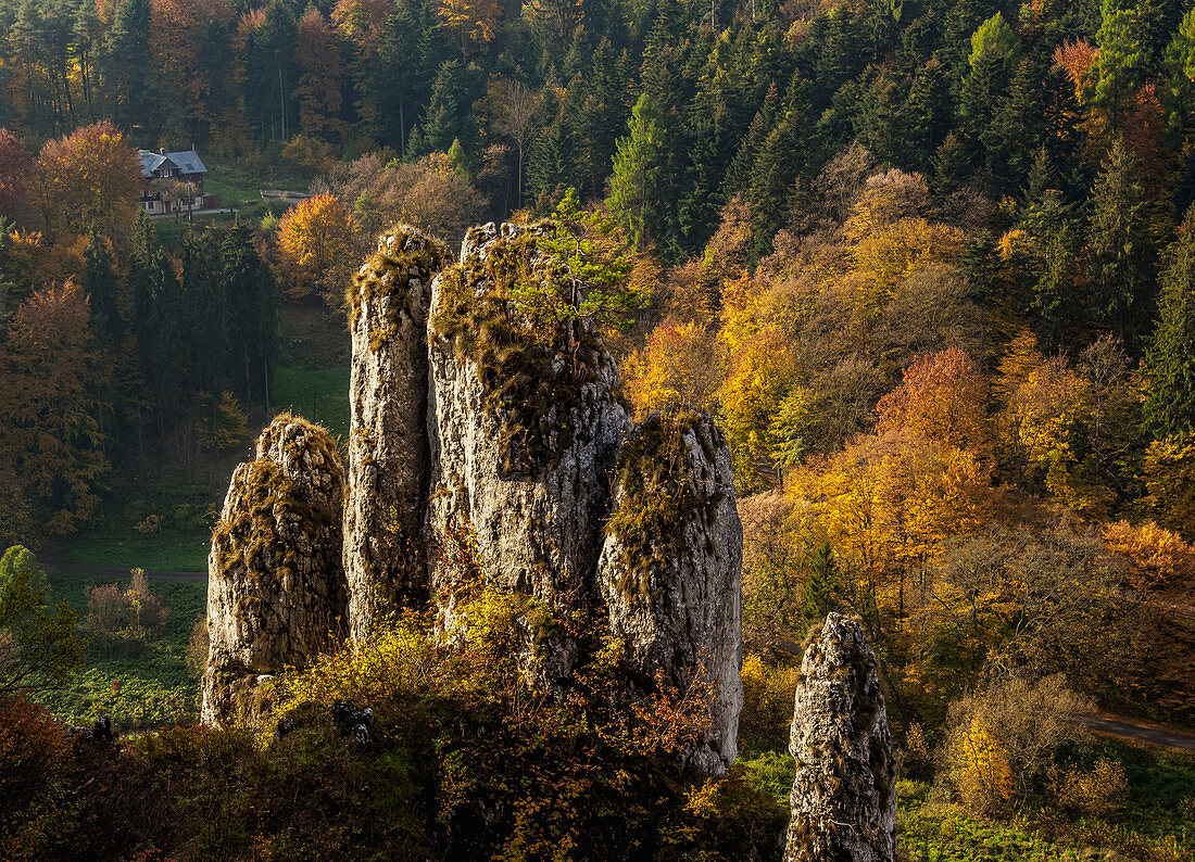 Die Handschuh-Felsformation, Ojcow-Nationalpark, Krakau-Czestochowa-Hochland (polnischer Jura), Woiwodschaft Kleinpolen, Polen, Europa