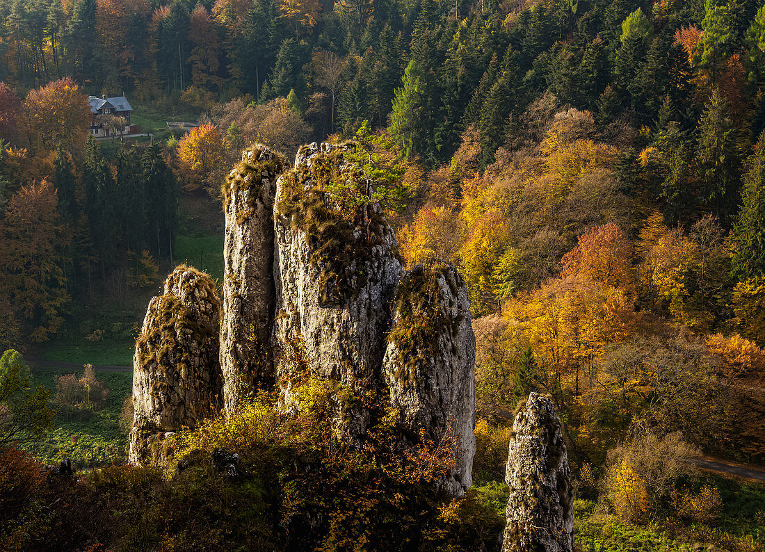 The Glove Rock Formation, Ojcow National Park, Krakow-Czestochowa Upland (Polish Jura), Lesser Poland Voivodeship, Poland, Europe
