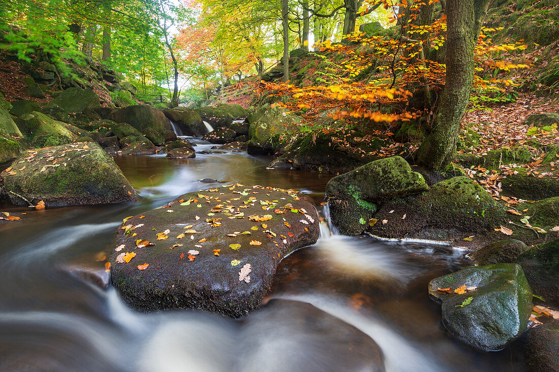 Padley-Schlucht im Herbst, Peak District National Park, Derbyshire, England, Vereinigtes Königreich, Europa