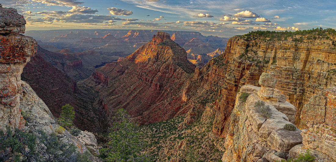 Panorama des Grand Canyon gesehen von Buggeln Point östlich von Buggeln Hill am Südrand um Sonnenuntergang, Grand Canyon National Park, UNESCO-Weltkulturerbe, Arizona, Vereinigte Staaten von Amerika, Nordamerika