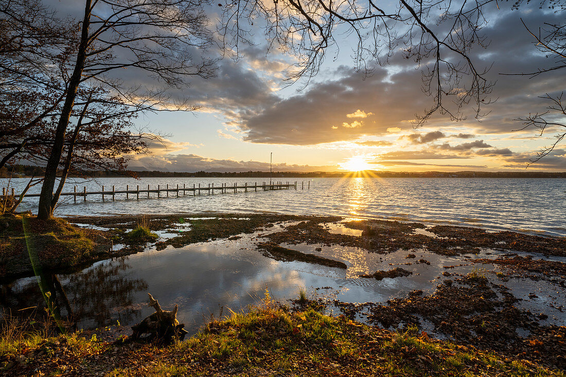 Ostufer am Starnberger See bei Pischetsried im Abendlicht, Münsing, Bayern, Deutchland