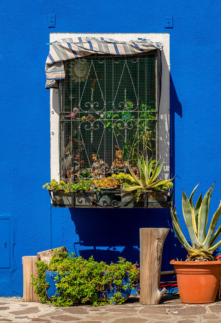 Window in Burano, Venice, Veneto, Italy