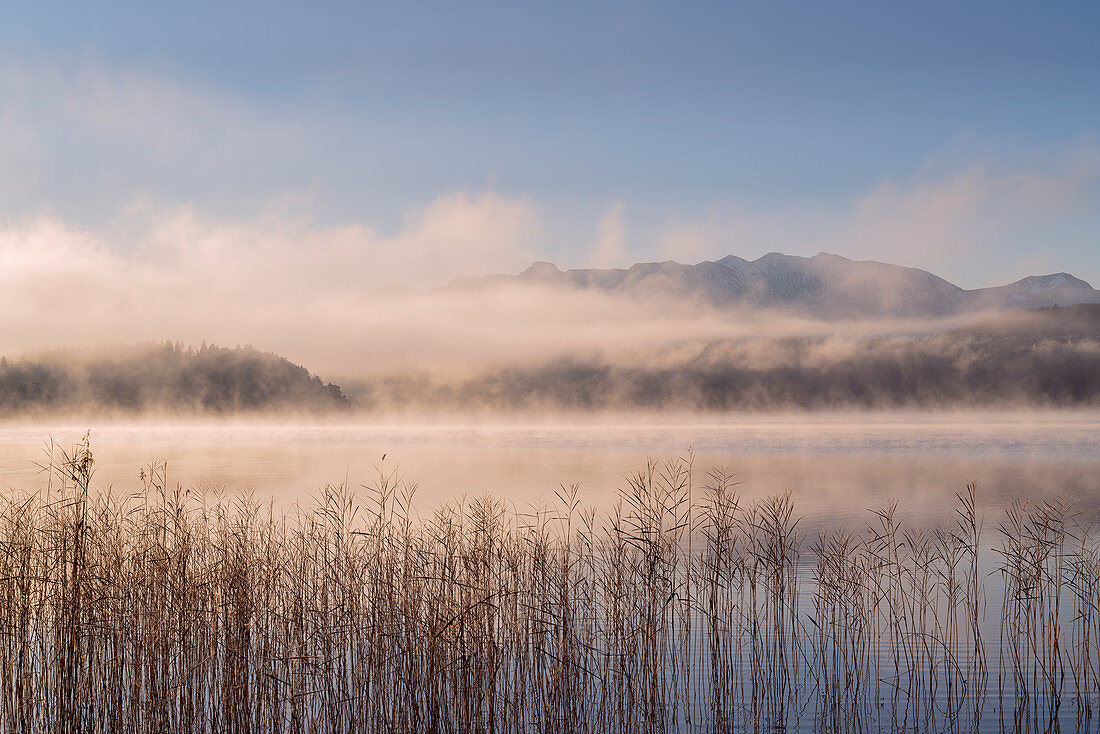 Frosty and foggy autumn morning at the Staffelsee; Uffing, Upper Bavaria, Bavaria, Germany