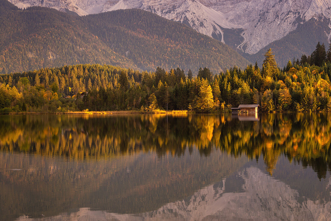 The autumn forest is reflected in the Barmsee, Krün, Bavaria, Germany