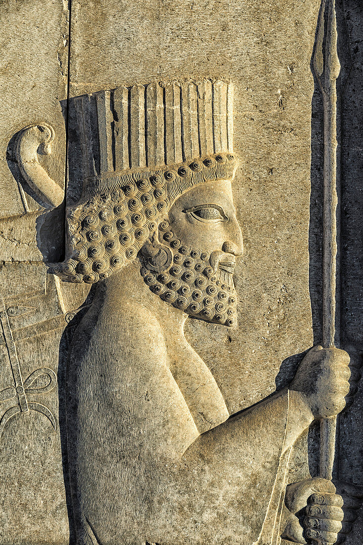 Apadana stairway facade detail, relief of the Achaemenids, Medes and Persians, Persepolis, UNESCO World Heritage Site, Fars Province, Islamic Republic of Iran, Middle East