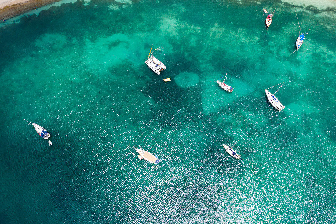 Luftaufnahme durch Drohne von Segelbooten und Katamaranen, die in der Karibik, auf den Antillen, in Westindien, in der Karibik, in Mittelamerika festgemacht sind