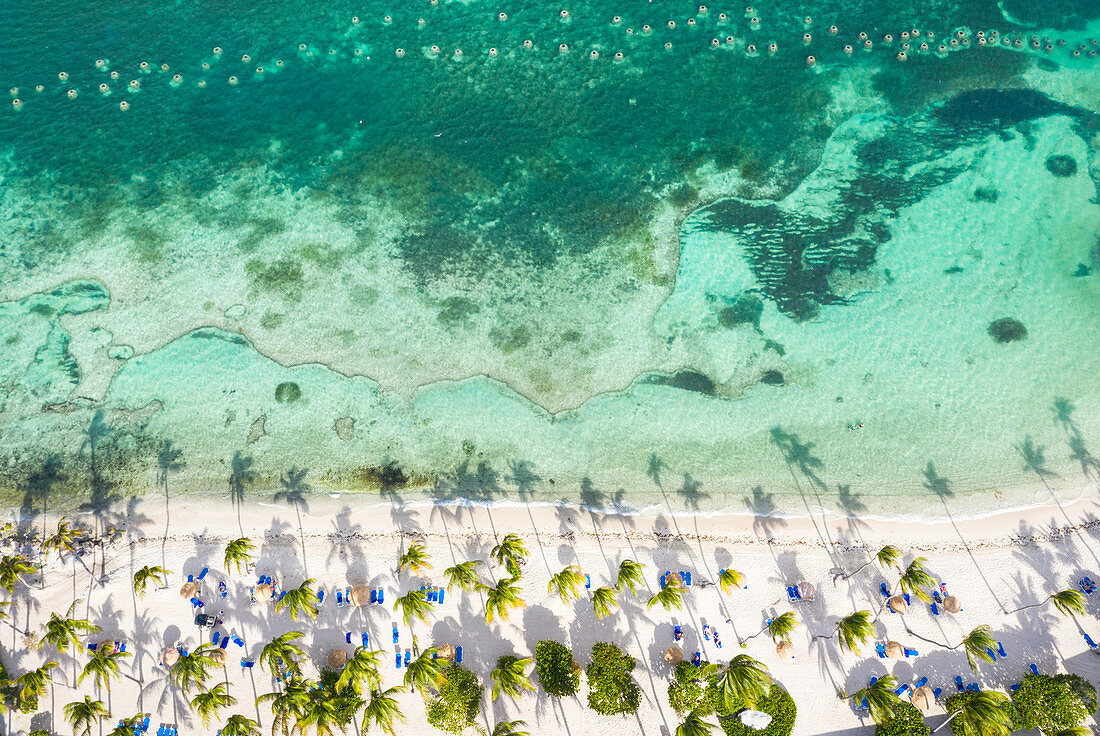 Palm-fringed beach washed by Caribbean Sea from above by drone, St. James Bay, Antigua, Leeward Islands, West Indies, Caribbean, Central America
