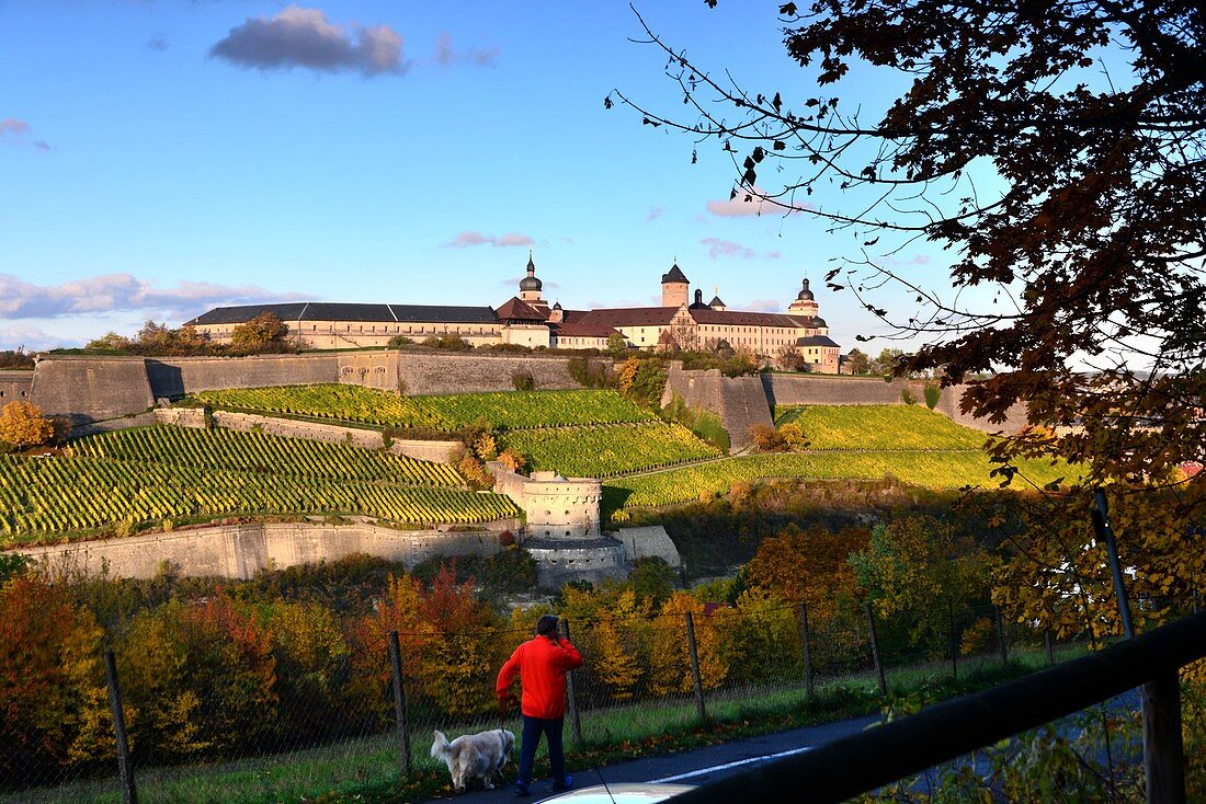 Festung Marienberg, Würzburg, Unter-Franken, Bayern, Deutschland