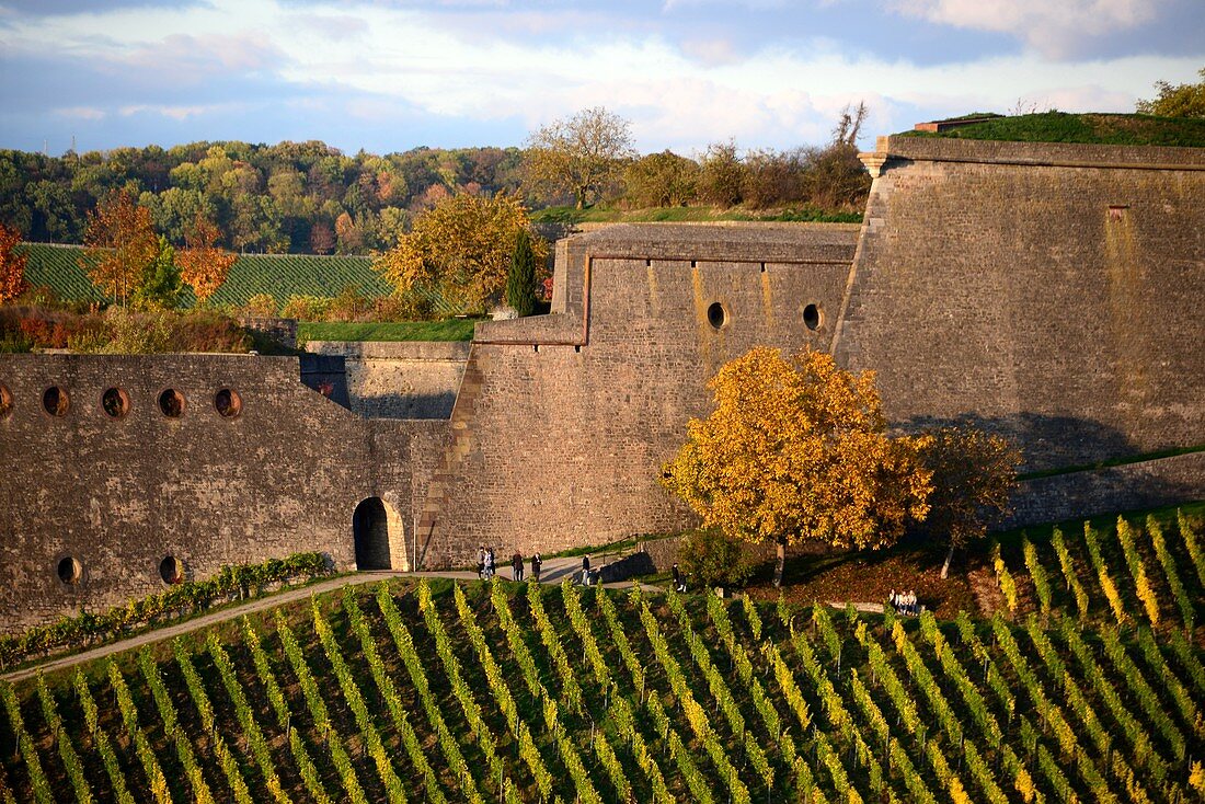 Festung Marienberg, Würzburg, Unter-Franken, Bayern, Deutschland