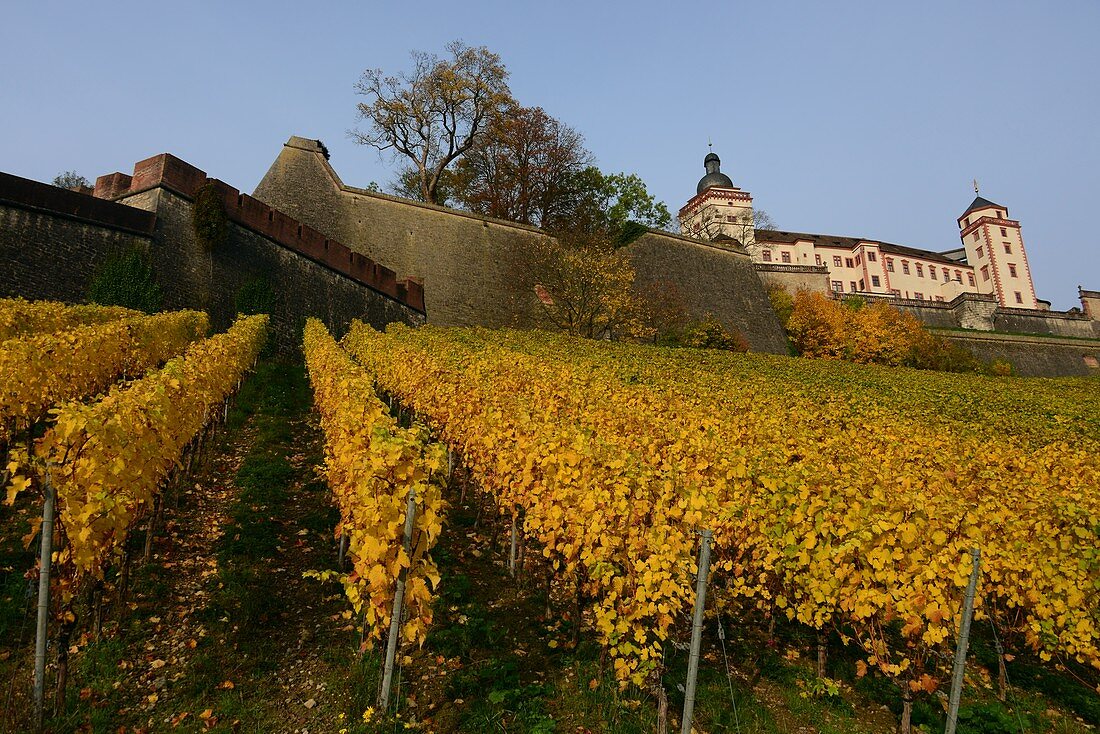 Festung Marienberg, Würzburg, Unter-Franken, Bayern, Deutschland