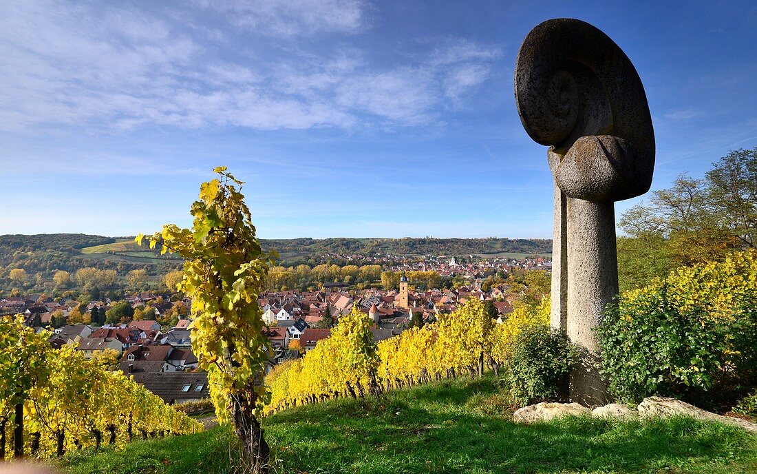 Weinfelder bei Sommerhausen am Main mit Blick bis Würzburg, Unter-Franken, Bayern, Deutschland