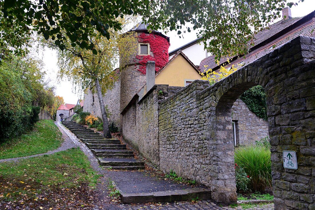 in Dettelbach am Main, Lower Franconia, Bavaria, Germany