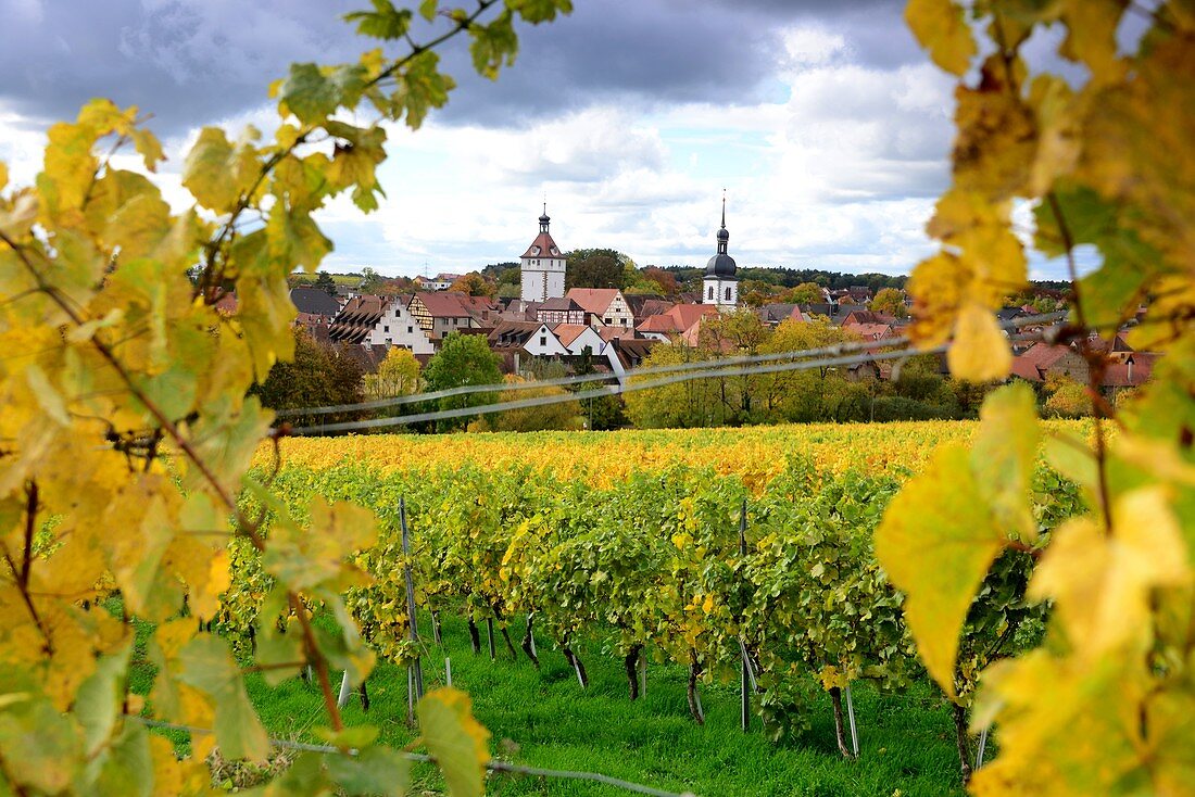 Prichsenstadt mit Weinfeld am Steigerwald, Unter-Franken, Bayern, Deutschland