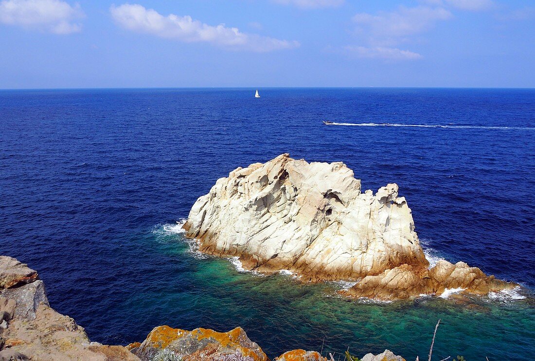 am Capo d´Enfola, Nordküste, Elba, Toskana, Italien