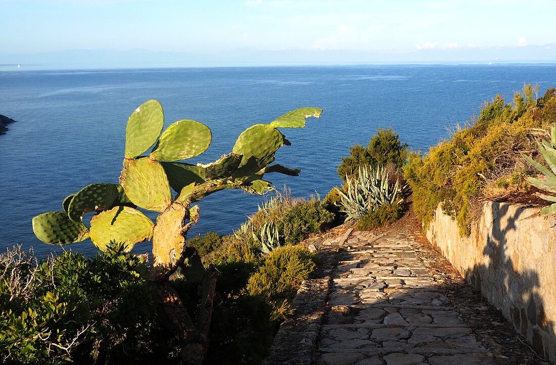 Patresi la Guardia, West-Küste, Elba, Toskana, Italien