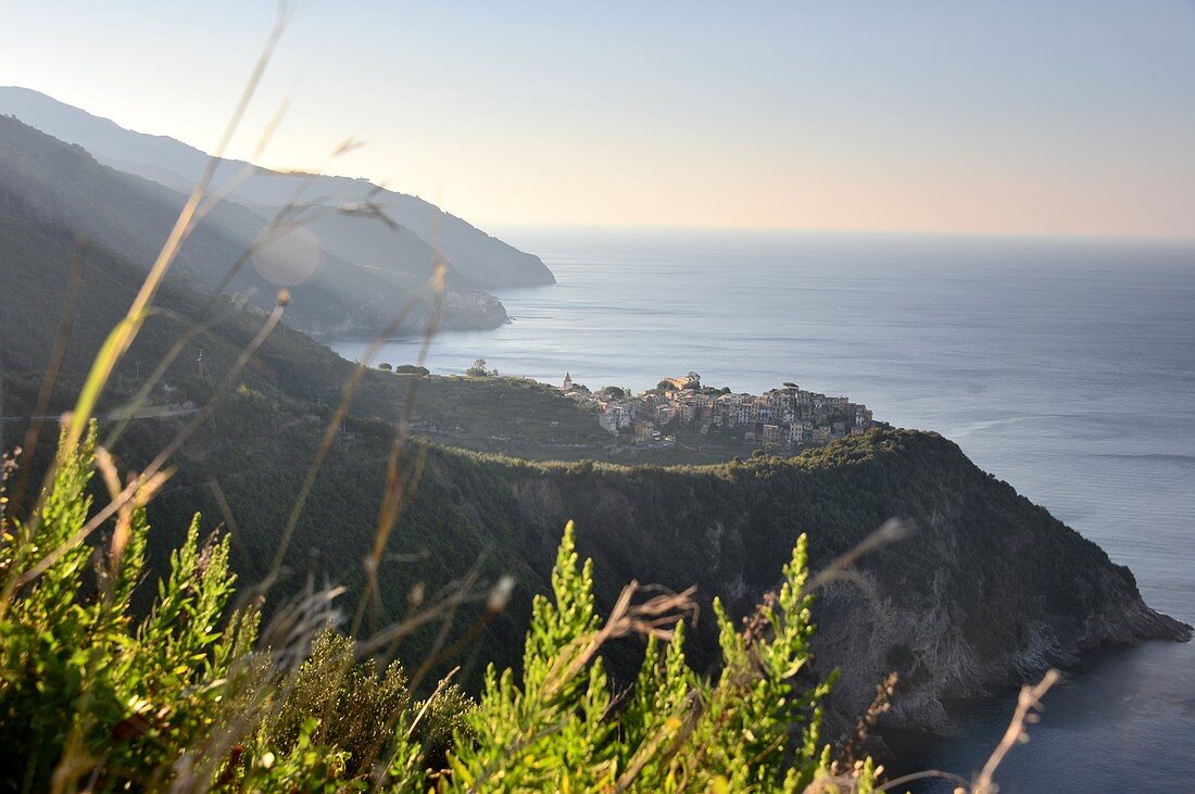 Coast at Corniglia, Cinque Terre, east coast of Liguria, Italy