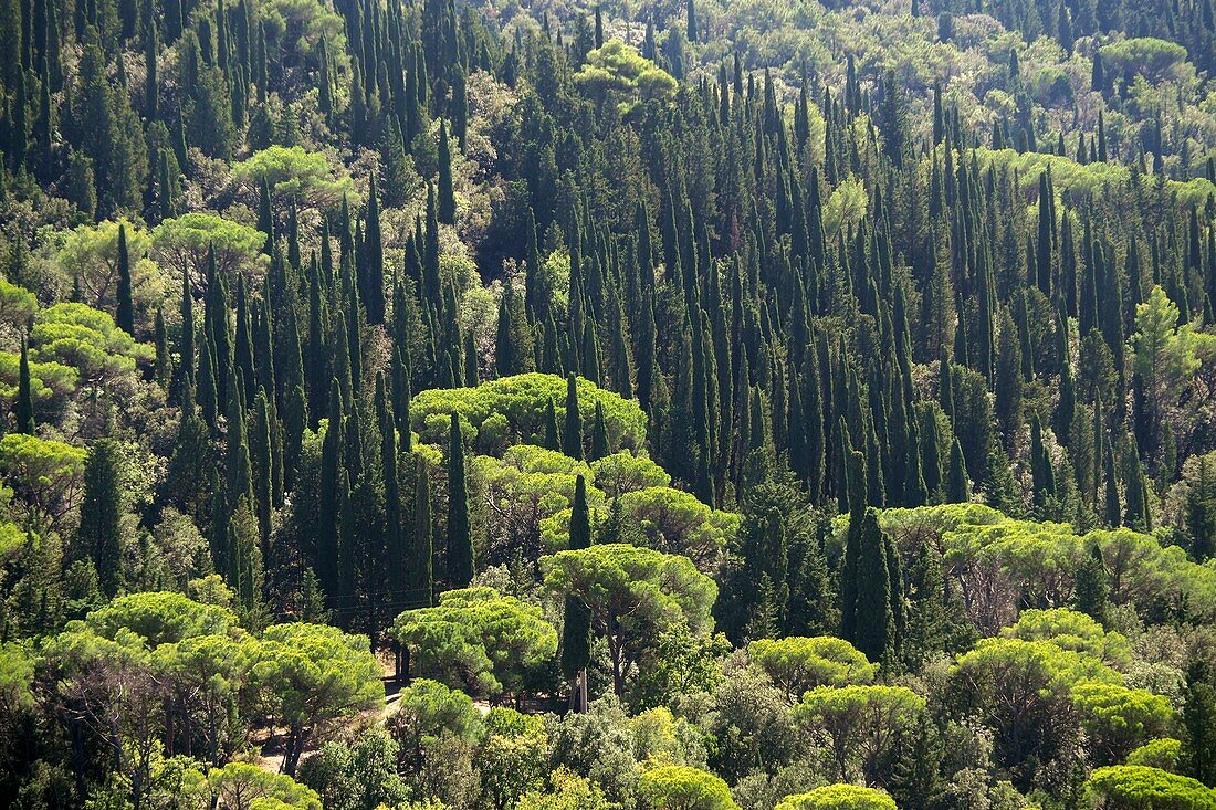 Landschaft bei Fiesole bei Florenz, Toskana, Italien