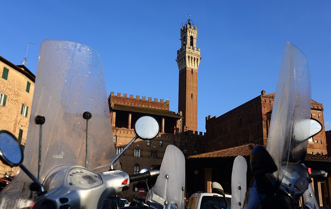 at Piazza Mercato with tower of the town hall, Siena, Tuscany, Italy