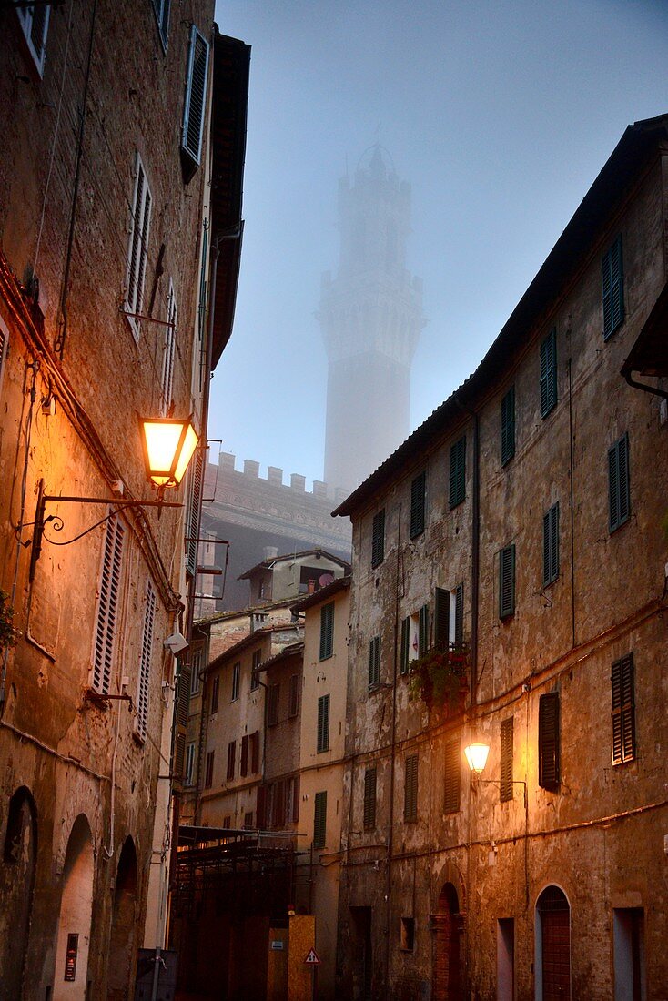 Rathausturm, Torre del Mangia, Siena, Toskana, Italien