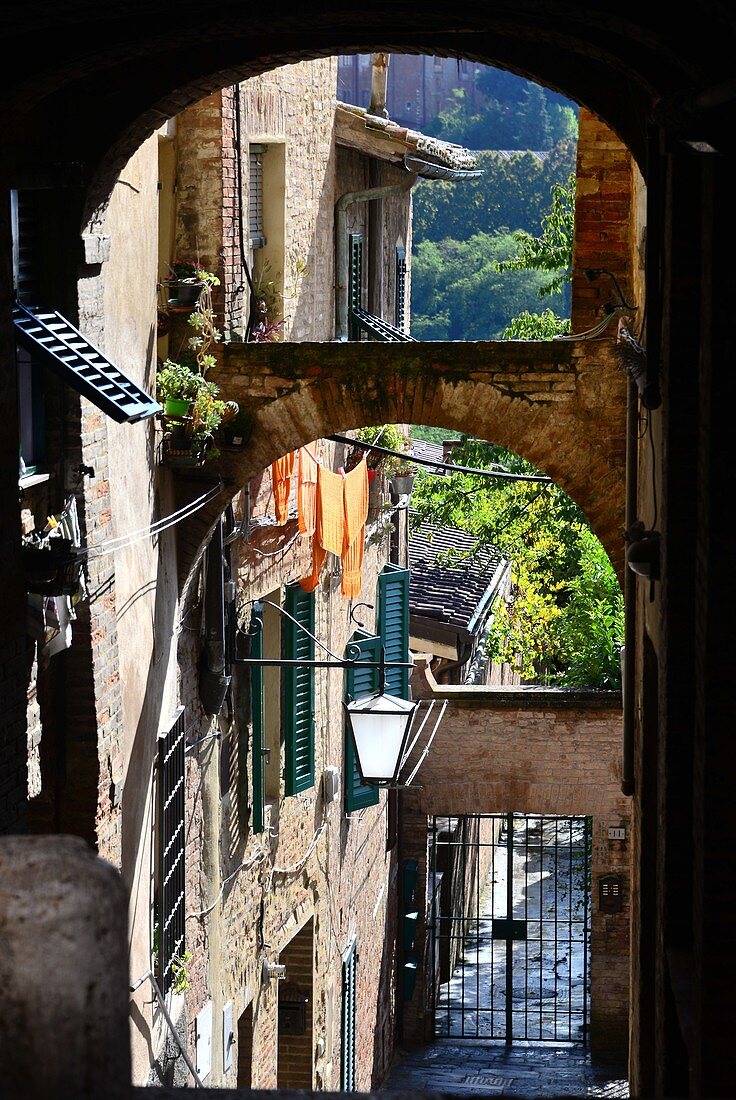 in Siena, Tuscany, Italy