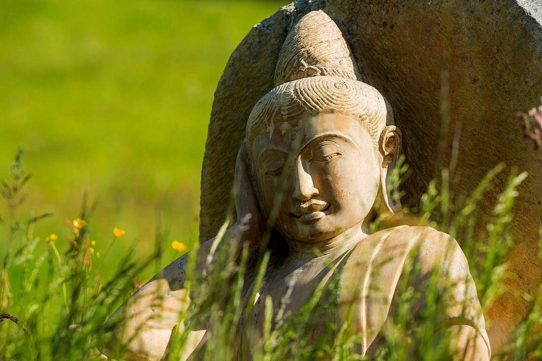 Buddha statue in flower meadow, Black Forest, Baden-Württemberg, Germany