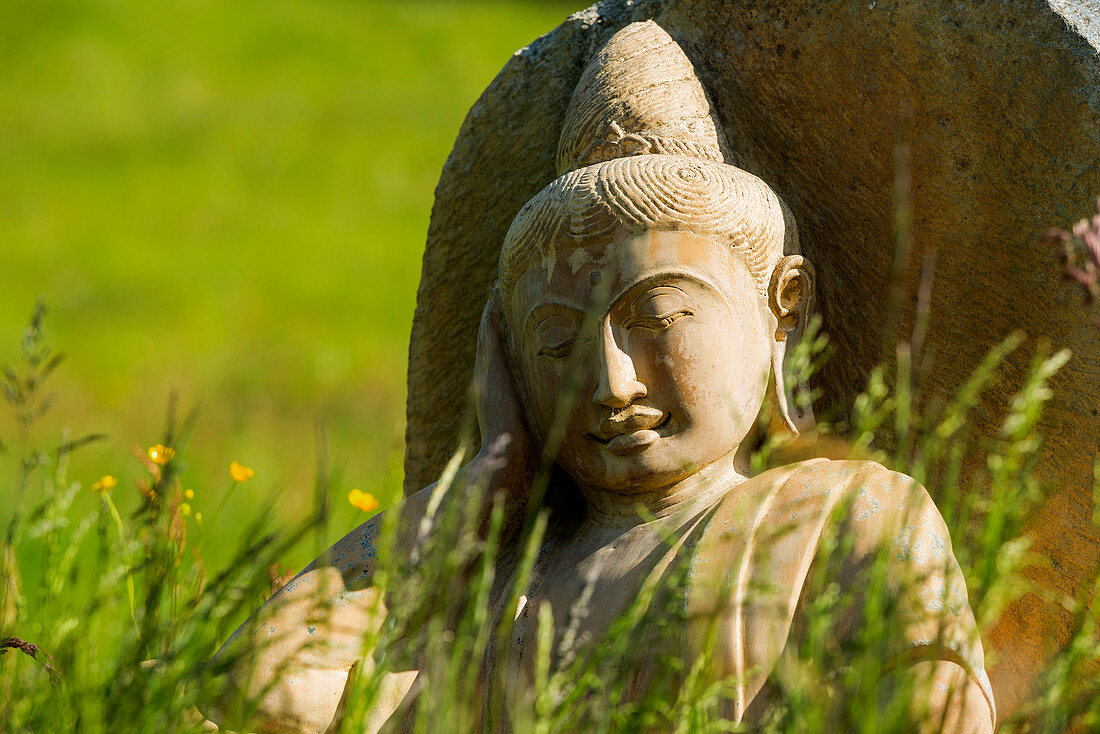 Buddhastatue in Blumenwiese, Schwarzwald, Baden-Württemberg, Deutschland