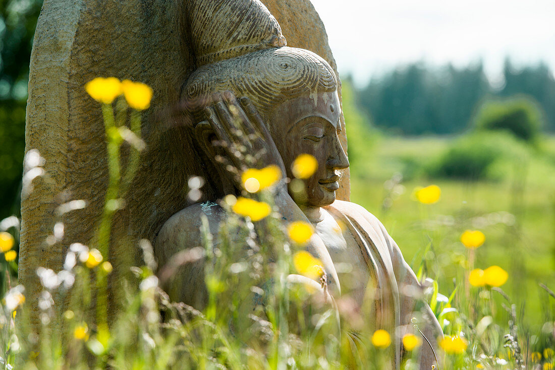Buddha statue in flower meadow, Black Forest, Baden-Württemberg, Germany