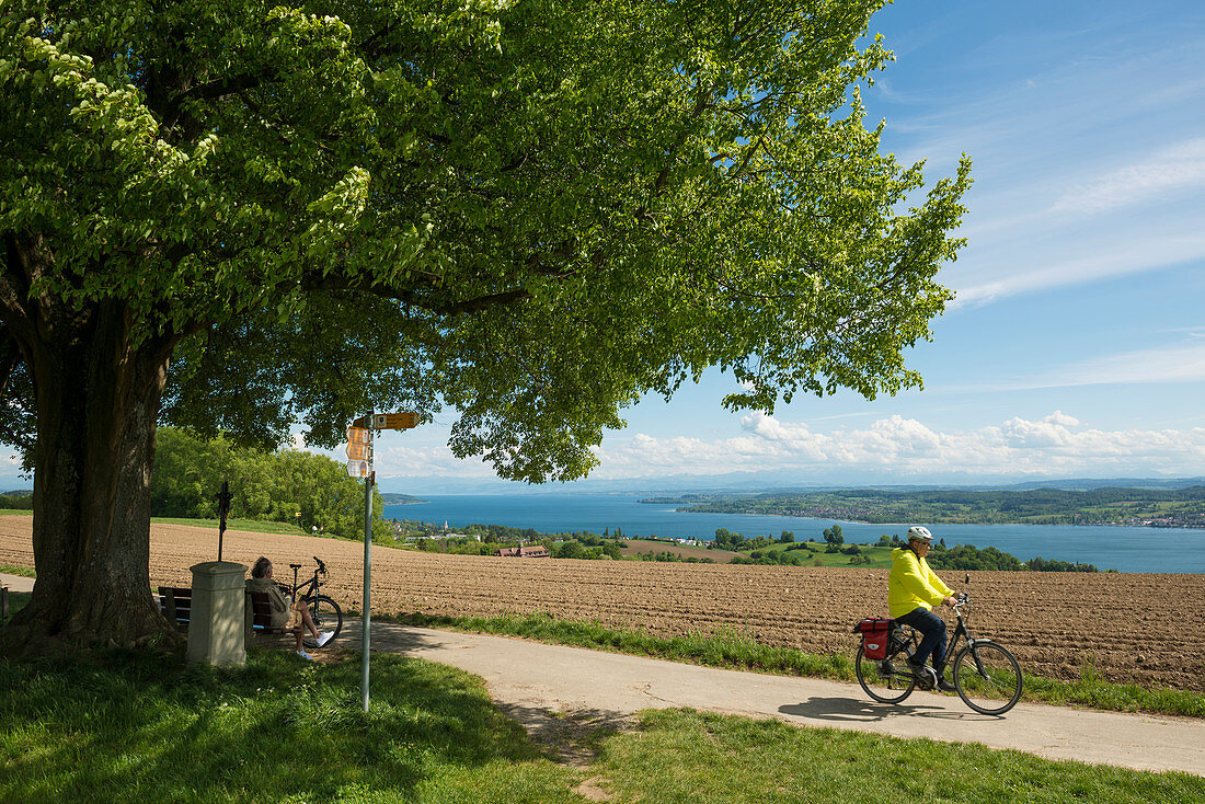 Bodenseepanorama und Raffahrer, bei Überlingen, Bodensee, Baden-Württemberg, Deutschland