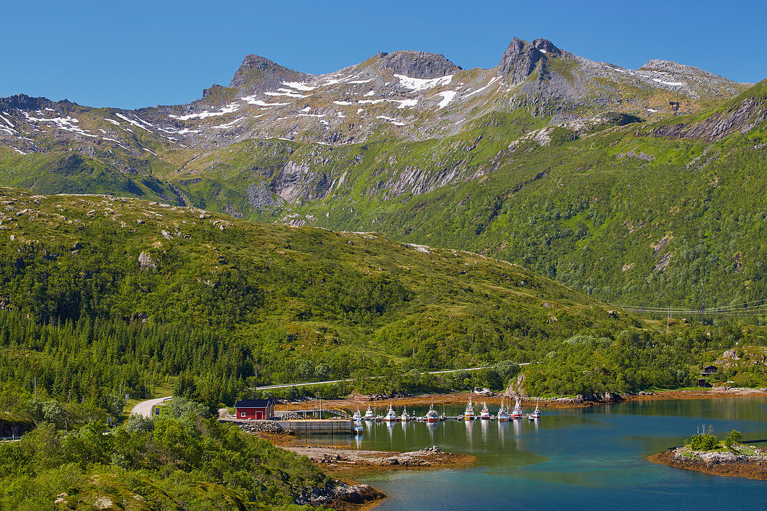 Fischerboote im Hafen von Vestpollen, Austvagoey, Lofoten, Nordland, Norwegen, Europa