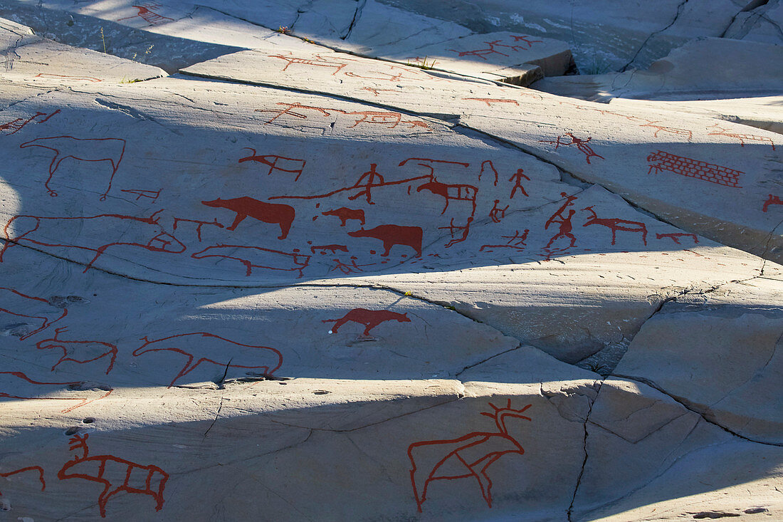 Felszeichnungen in Alta, UNESCO Weltkulturerbe, Finnmark, Norwegen, Europa