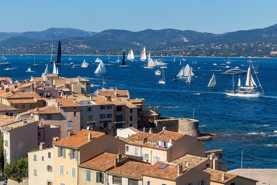Frankreich, Var, Saint-Tropez, Bezirk Ponche, der Alte Turm, die traditionellen Yachten anlässlich der &quot,Voiles de Saint-Tropezundquot;