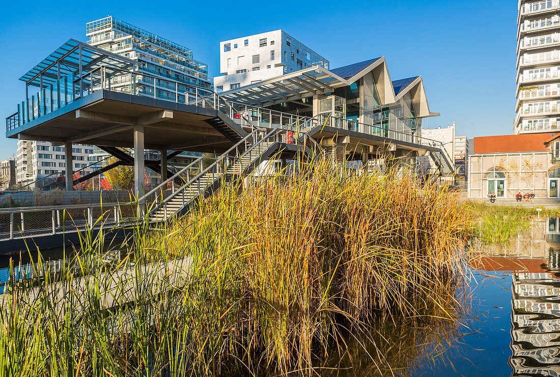 Frankreich, Paris, Quartier des Batignolles, Martin Luther King Park im Herbst, saniert auf ehemaligem SNCF-Grundstück