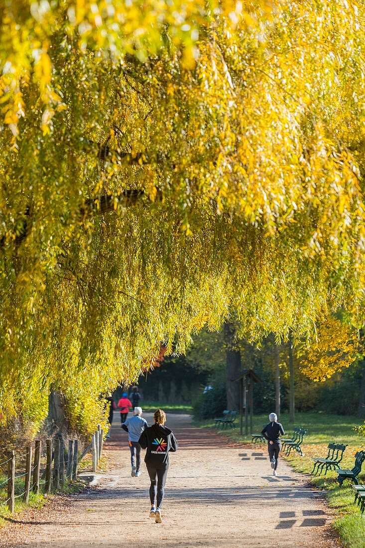 France, Paris, Bois de Vincennes in autumn